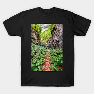 Hiking trail in the mountains T-Shirt